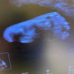 Afbeelding van Cynthia(1)