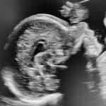 Afbeelding van Cynthia(3)